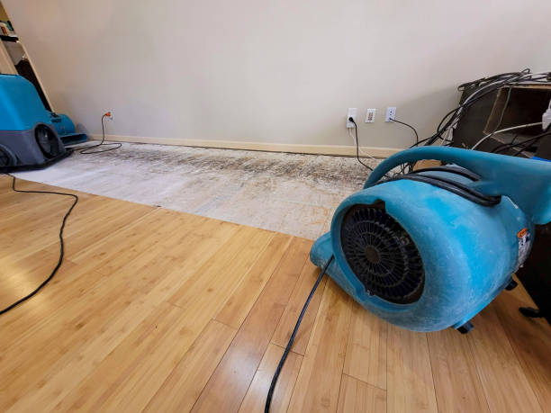 Professional Water Removal technician working in Dudley, MA